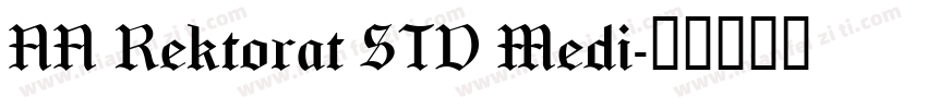 NN Rektorat STD Medi字体转换